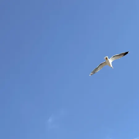 Mirador Del Mediterraneo *